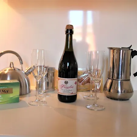 公寓 新中心宽敞公寓 威尼斯